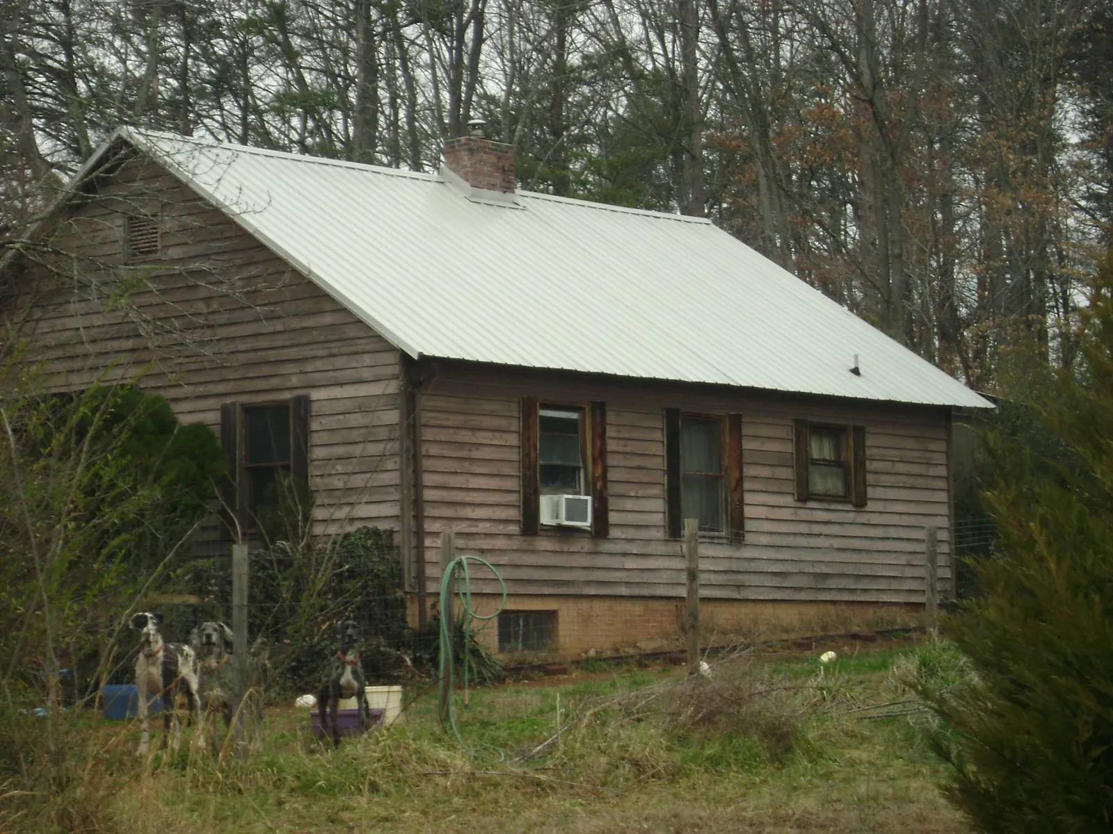 White metal roof on an old wood sided farmhouse, from a Asphalt Shingle Roof Repair job in Kaylor
